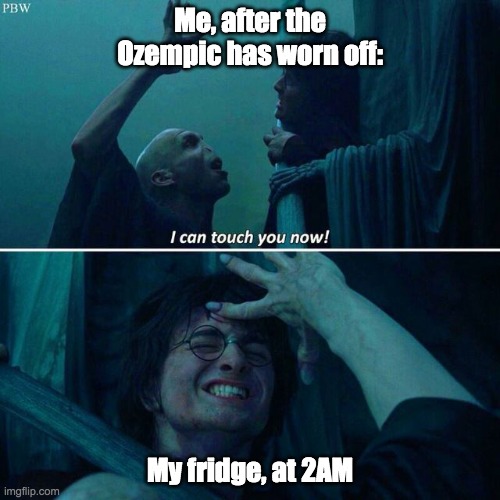 when the ozempic wears off | Me, after the Ozempic has worn off:; My fridge, at 2AM | image tagged in harry potter,weight loss,weight gain,eating,voldemort,medication | made w/ Imgflip meme maker