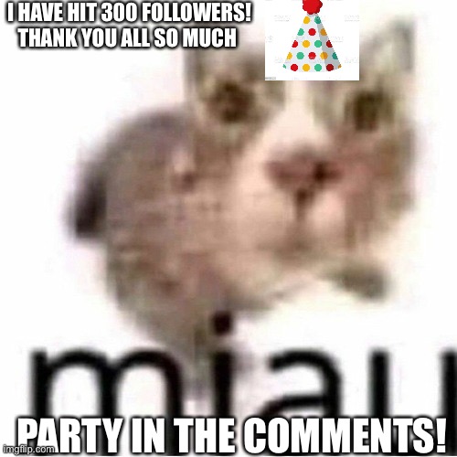 I love y’all (not in a gay way) (shout-outs in comments) | I HAVE HIT 300 FOLLOWERS! THANK YOU ALL SO MUCH; PARTY IN THE COMMENTS! | image tagged in miau | made w/ Imgflip meme maker