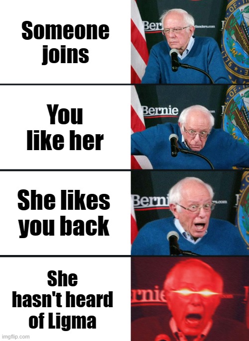 Ligma | Someone joins; You like her; She likes you back; She hasn't heard of Ligma | image tagged in bernie sanders reaction nuked | made w/ Imgflip meme maker