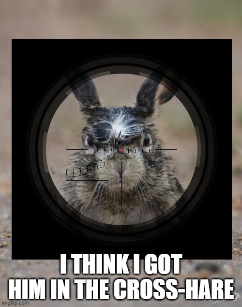 Cross hare | I THINK I GOT HIM IN THE CROSS-HARE | image tagged in guns,hare | made w/ Imgflip meme maker
