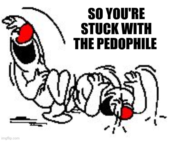 LOL Hysterically | SO YOU'RE STUCK WITH THE PEDOPHILE | image tagged in lol hysterically | made w/ Imgflip meme maker