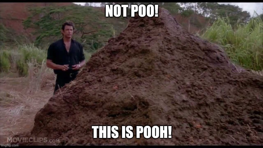 That is one big pile of shit | NOT POO! THIS IS POOH! | image tagged in that is one big pile of shit | made w/ Imgflip meme maker
