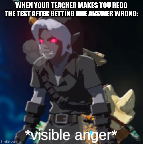 Bro.Are you serious right now!? | WHEN YOUR TEACHER MAKES YOU REDO THE TEST AFTER GETTING ONE ANSWER WRONG: | image tagged in visible anger | made w/ Imgflip meme maker