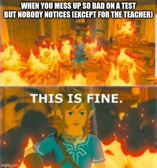 This is fine Link | WHEN YOU MESS UP SO BAD ON A TEST BUT NOBODY NOTICES (EXCEPT FOR THE TEACHER) | image tagged in this is fine link | made w/ Imgflip meme maker