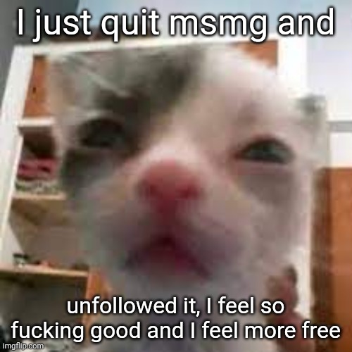 Cat lightskin stare | I just quit msmg and; unfollowed it, I feel so fucking good and I feel more free | made w/ Imgflip meme maker