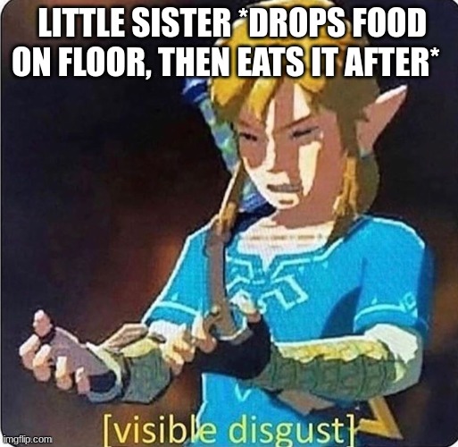 Link~ Visible disgust | LITTLE SISTER *DROPS FOOD ON FLOOR, THEN EATS IT AFTER* | image tagged in link visible disgust | made w/ Imgflip meme maker