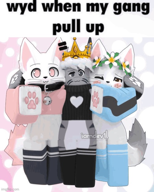 made w/ Imgflip meme maker