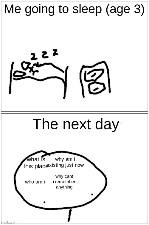 Blank Comic Panel 1x2 | Me going to sleep (age 3); The next day; why am i existing just now; what is this place; why cant i remember anything; who am i | image tagged in memes,blank comic panel 1x2 | made w/ Imgflip meme maker
