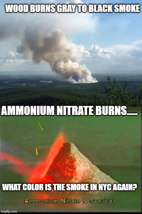 Color of smoke | WOOD BURNS GRAY TO BLACK SMOKE; AMMONIUM NITRATE BURNS..... WHAT COLOR IS THE SMOKE IN NYC AGAIN? | image tagged in fire,canada | made w/ Imgflip meme maker