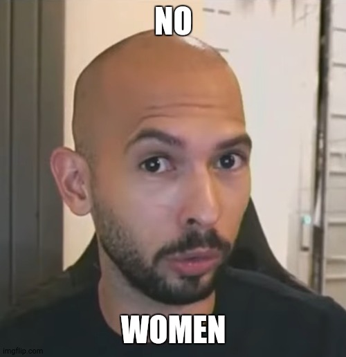 Andrew Tate No Bitches | NO; WOMEN | image tagged in andrew tate no bitches | made w/ Imgflip meme maker