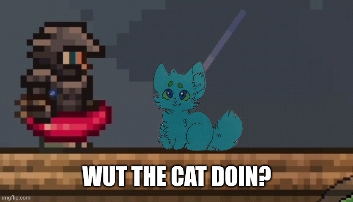 He's just standing there, floofingly! | WUT THE CAT DOIN? | image tagged in terraria,retrothefloof | made w/ Imgflip meme maker