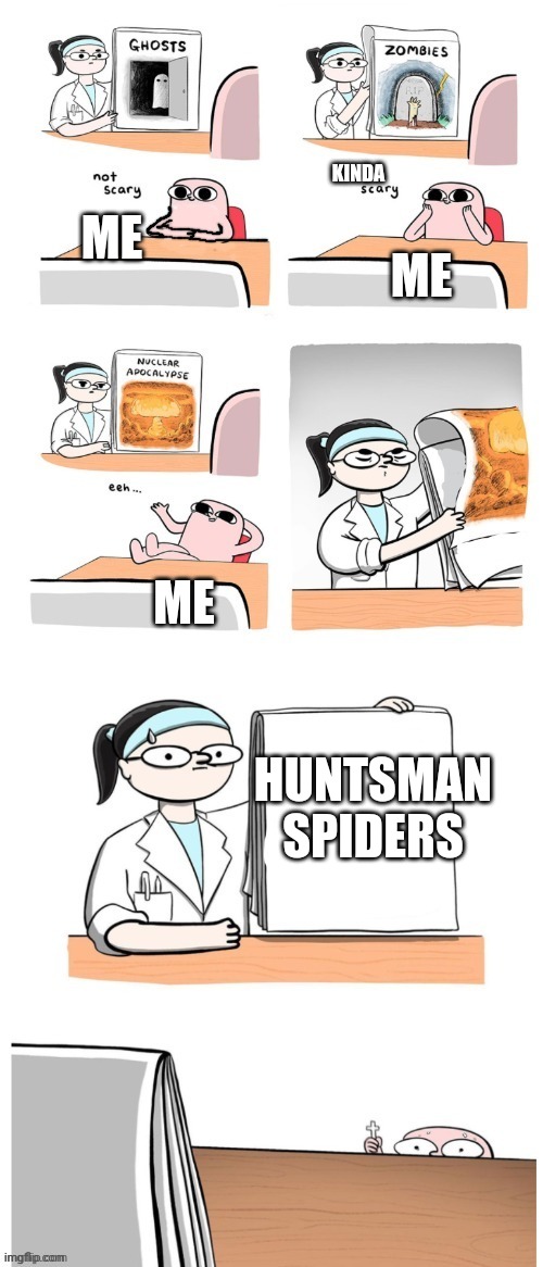 Not Scary | KINDA; ME; ME; ME; HUNTSMAN SPIDERS | image tagged in not scary | made w/ Imgflip meme maker