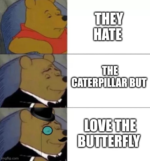The Butterfly | THEY HATE; THE CATERPILLAR BUT; LOVE THE BUTTERFLY | image tagged in fancy pooh | made w/ Imgflip meme maker