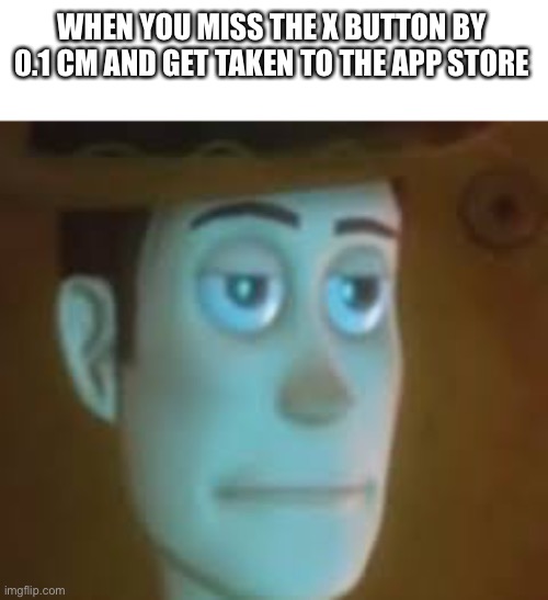 The App Store | WHEN YOU MISS THE X BUTTON BY 0.1 CM AND GET TAKEN TO THE APP STORE | image tagged in disappointed woody | made w/ Imgflip meme maker