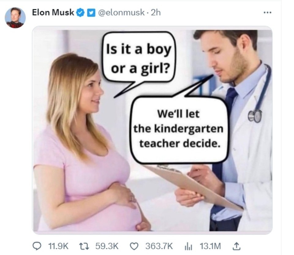 Elon Musk: Is it a boy or a girl? | image tagged in elon musk laughing,triggering liberals,triggered liberal,sjw triggered,gender confusion,liberalism | made w/ Imgflip meme maker
