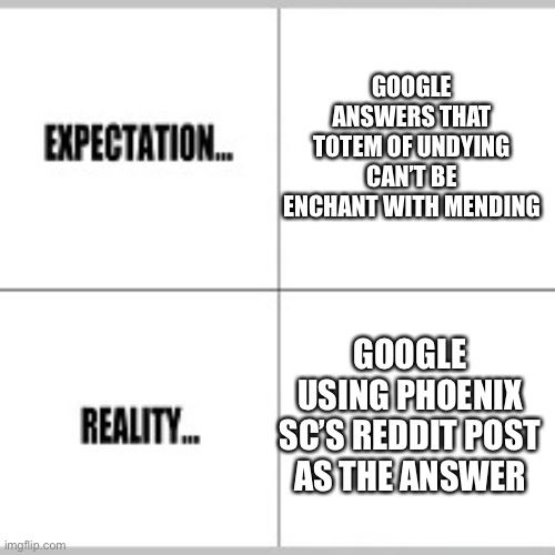 Totem of Undyings are Unenchantable | GOOGLE ANSWERS THAT TOTEM OF UNDYING CAN’T BE ENCHANT WITH MENDING; GOOGLE USING PHOENIX SC’S REDDIT POST AS THE ANSWER | image tagged in expectation vs reality | made w/ Imgflip meme maker