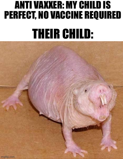 Going against vaccines is stupid | ANTI VAXXER: MY CHILD IS PERFECT, NO VACCINE REQUIRED; THEIR CHILD: | image tagged in naked mole rat,memes | made w/ Imgflip meme maker