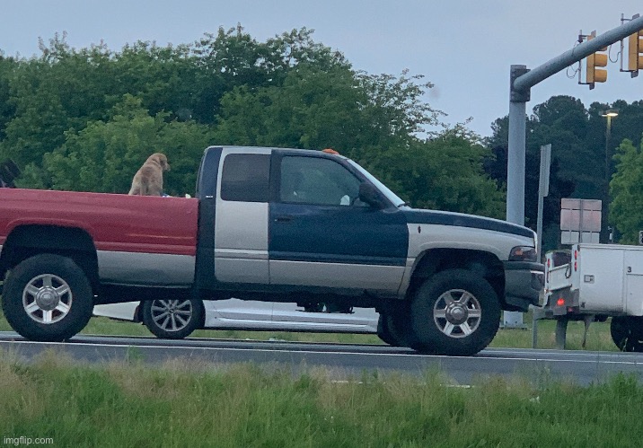 What is going on with homie’s car door | made w/ Imgflip meme maker