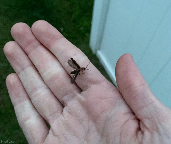 It flashed me | made w/ Imgflip meme maker