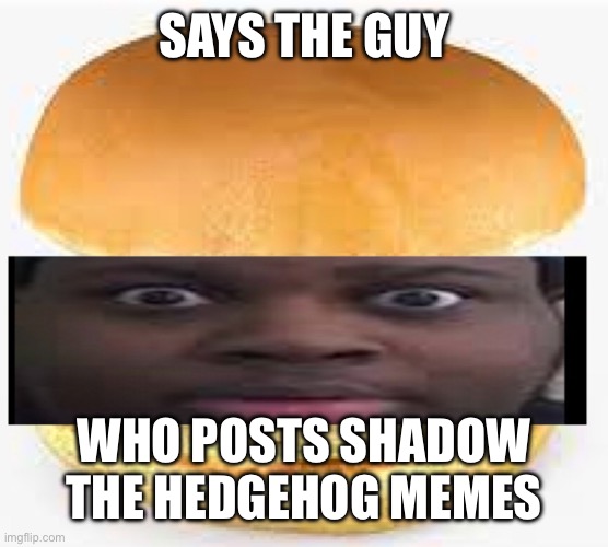 SAYS THE GUY WHO POSTS SHADOW THE HEDGEHOG MEMES | image tagged in edp445 burger | made w/ Imgflip meme maker