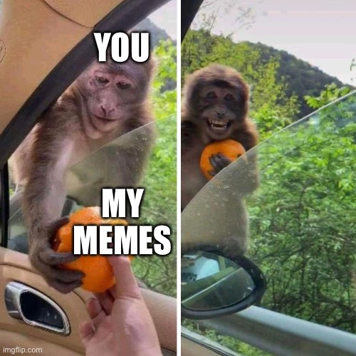 Memes | YOU; MY MEMES | image tagged in monkey orange,memes,taking,happy | made w/ Imgflip meme maker