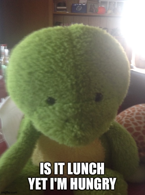 Hungry turtle | IS IT LUNCH YET I'M HUNGRY | image tagged in this onion won't make me cry | made w/ Imgflip meme maker