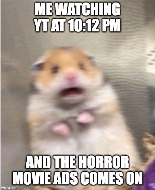 Even the shadows scare me... | ME WATCHING YT AT 10:12 PM; AND THE HORROR MOVIE ADS COMES ON | image tagged in scared hamster,scared,relatable,youtube,memes,hamster | made w/ Imgflip meme maker