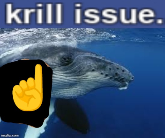 krill issue | ☝️ | image tagged in krill issue | made w/ Imgflip meme maker
