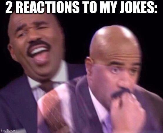 Reactions | 2 REACTIONS TO MY JOKES: | image tagged in steve harvey laughing serious,reactions,jokes | made w/ Imgflip meme maker