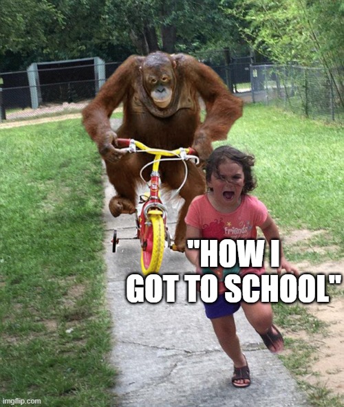 Orangutan chasing girl on a tricycle | "HOW I GOT TO SCHOOL" | image tagged in orangutan chasing girl on a tricycle | made w/ Imgflip meme maker