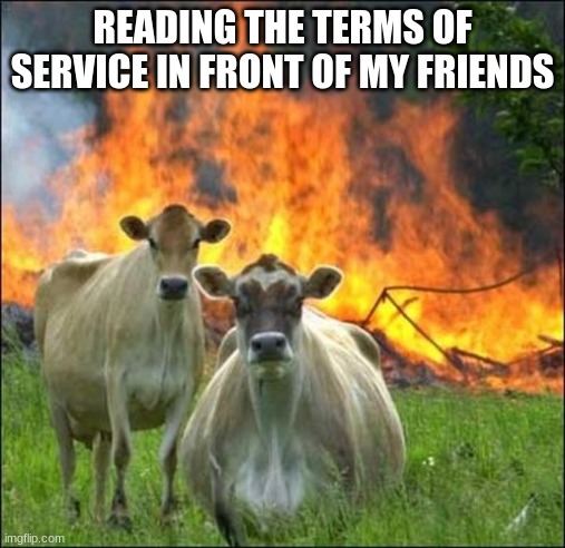 very evil indeed | READING THE TERMS OF SERVICE IN FRONT OF MY FRIENDS | image tagged in memes,evil cows | made w/ Imgflip meme maker