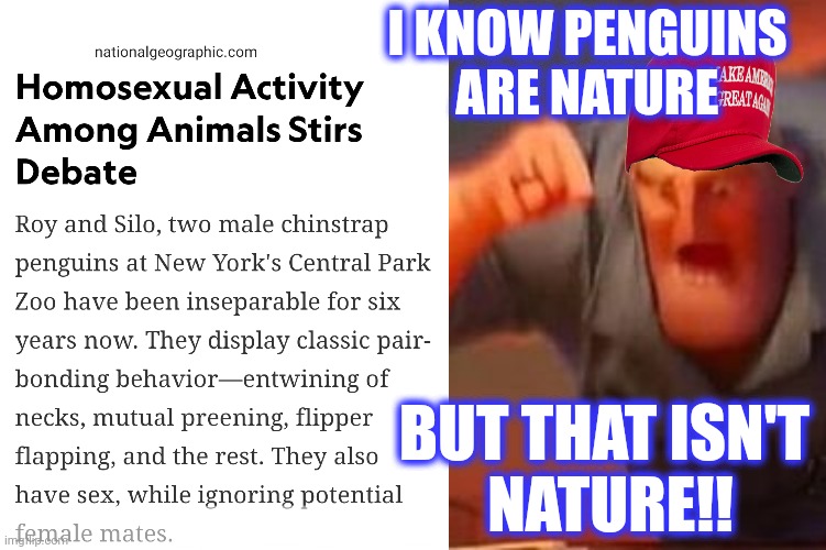 I KNOW PENGUINS ARE NATURE BUT THAT ISN'T 
NATURE!! | image tagged in mr incredible mad | made w/ Imgflip meme maker