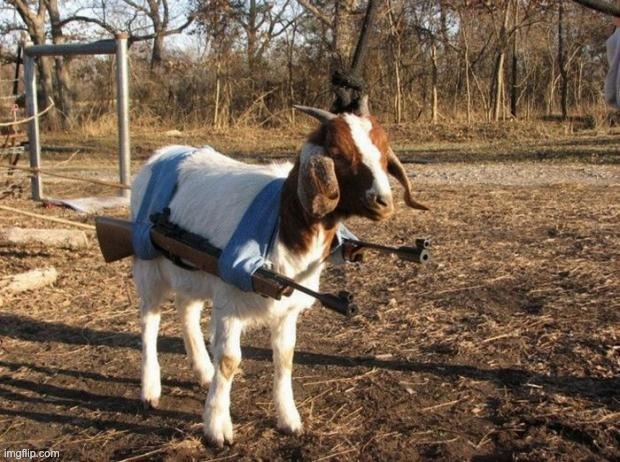 this terrorist is the goat | made w/ Imgflip meme maker