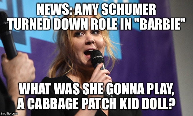 AMY SCHUMER | NEWS: AMY SCHUMER TURNED DOWN ROLE IN "BARBIE"; WHAT WAS SHE GONNA PLAY, A CABBAGE PATCH KID DOLL? | image tagged in amy schumer | made w/ Imgflip meme maker