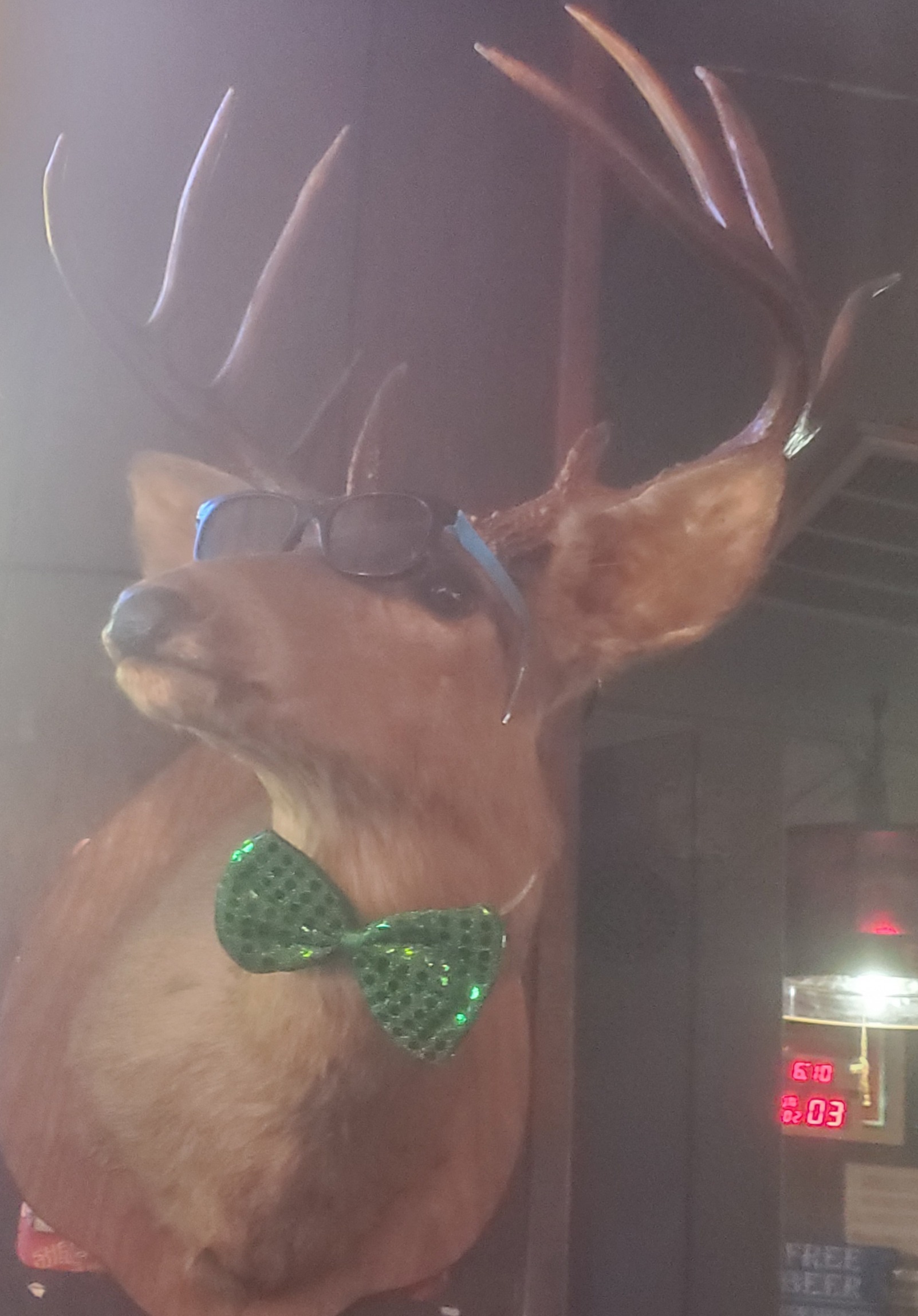 High Quality Deer with Sunglasses Blank Meme Template