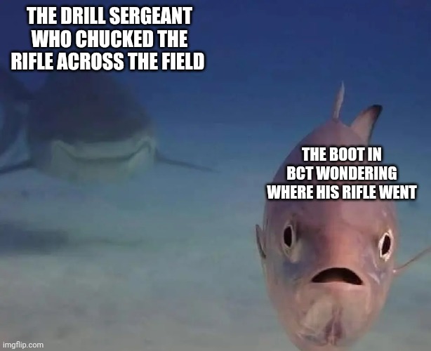 Every boot | THE DRILL SERGEANT WHO CHUCKED THE RIFLE ACROSS THE FIELD; THE BOOT IN BCT WONDERING WHERE HIS RIFLE WENT | image tagged in military humor | made w/ Imgflip meme maker