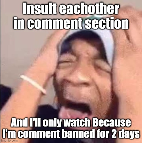Flightreacts crying | Insult eachother in comment section; And I'll only watch Because I'm comment banned for 2 days | image tagged in flightreacts crying | made w/ Imgflip meme maker