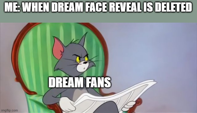 Dream face reveal got deleted for no reason | ME: WHEN DREAM FACE REVEAL IS DELETED; DREAM FANS | image tagged in tom cat reading a newspaper | made w/ Imgflip meme maker