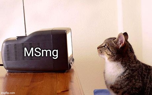 cat watching tv | MSmg | image tagged in cat watching tv | made w/ Imgflip meme maker