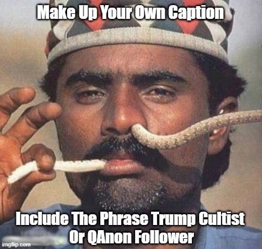 Make Up Your Own Caption.Include The Phrase... | Make Up Your Own Caption; Include The Phrase Trump Cultist 
Or QAnon Follower | image tagged in trump cult,qanon | made w/ Imgflip meme maker
