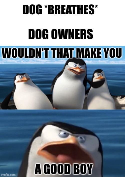 Wouldn't that make you | DOG *BREATHES*; DOG OWNERS; WOULDN'T THAT MAKE YOU; A GOOD BOY | image tagged in wouldn't that make you | made w/ Imgflip meme maker