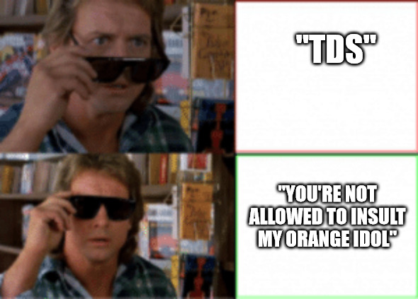 They live sunglasses | "TDS"; "YOU'RE NOT ALLOWED TO INSULT MY ORANGE IDOL" | image tagged in they live sunglasses | made w/ Imgflip meme maker