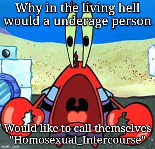 You know that an underage person would not understand this shit. | Why in the living hell would a underage person; Would like to call themselves "Homosexual_Intercourse" | image tagged in mr krabs wide mouth | made w/ Imgflip meme maker