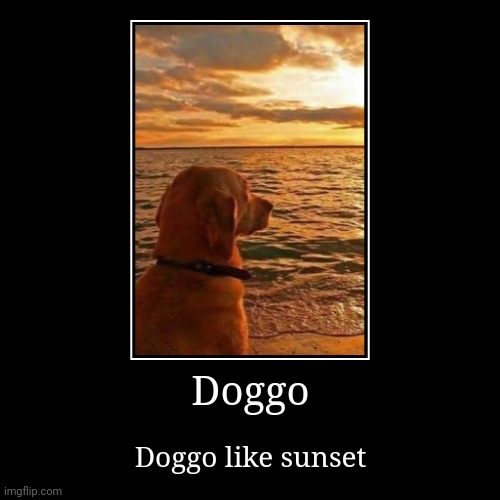 Doggo | Doggo like sunset | image tagged in funny,demotivationals | made w/ Imgflip demotivational maker