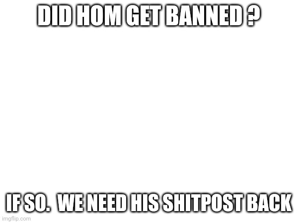 DID HOM GET BANNED ? IF SO.  WE NEED HIS SHITPOST BACK | made w/ Imgflip meme maker