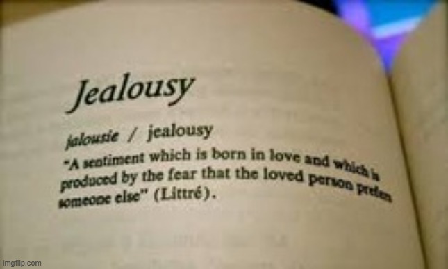 Jealousy Definition | image tagged in jealousy definition | made w/ Imgflip meme maker
