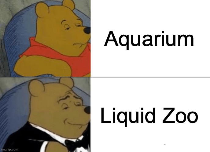 Original image of this meme was about four years ago | Aquarium; Liquid Zoo | image tagged in memes,tuxedo winnie the pooh,aquarium,liquid zoo,liquid,zoo | made w/ Imgflip meme maker