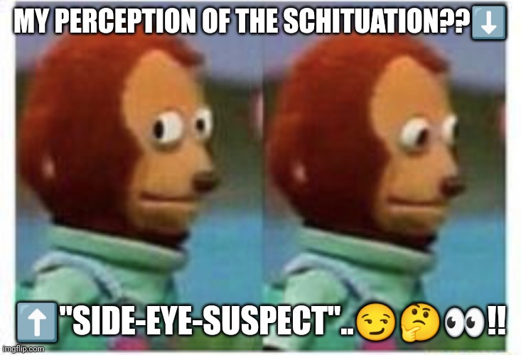 Side Eye Teddy Perception | MY PERCEPTION OF THE SCHITUATION??⬇️; ⬆️"SIDE-EYE-SUSPECT"..😏🤔👀!! | image tagged in side eye teddy | made w/ Imgflip meme maker