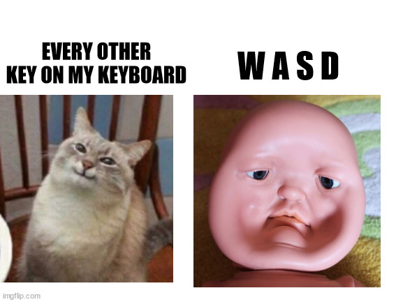 Meme #2 of pain | W A S D; EVERY OTHER KEY ON MY KEYBOARD | image tagged in blank white template | made w/ Imgflip meme maker