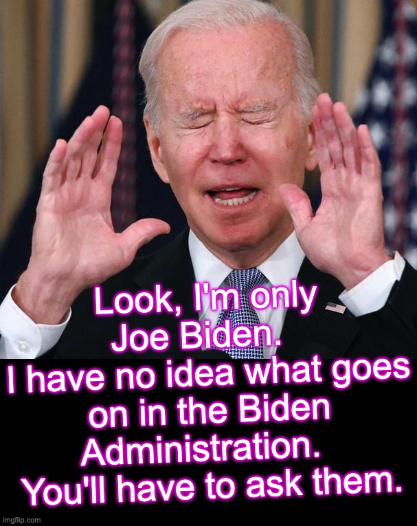 It's a great 'out' to fall back on [warning: true satire] | Look, I'm only Joe Biden.  
I have no idea what goes on in the Biden Administration.  
You'll have to ask them. | image tagged in biden stop,i have no idea | made w/ Imgflip meme maker